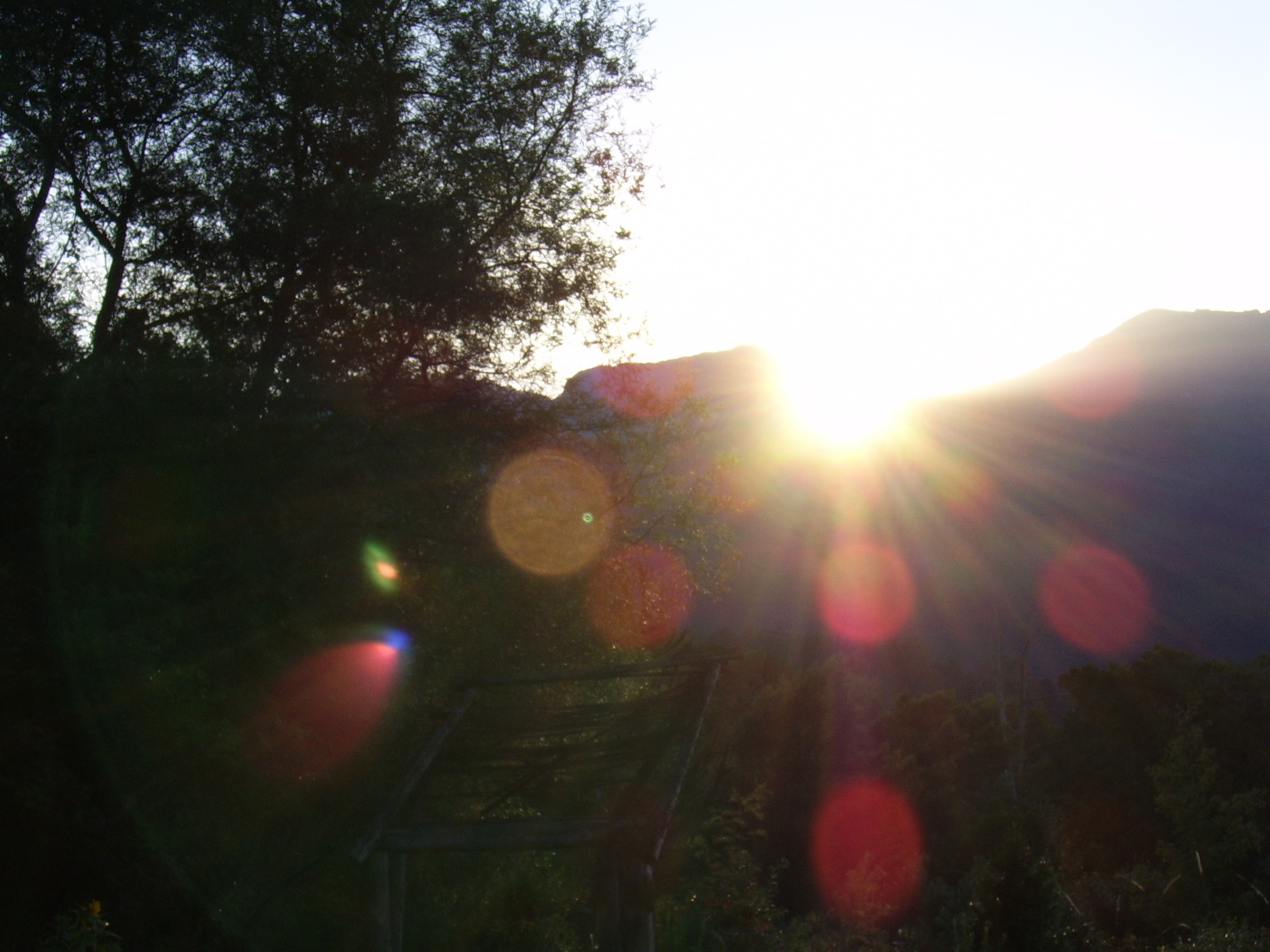 orbs on book cover meaning