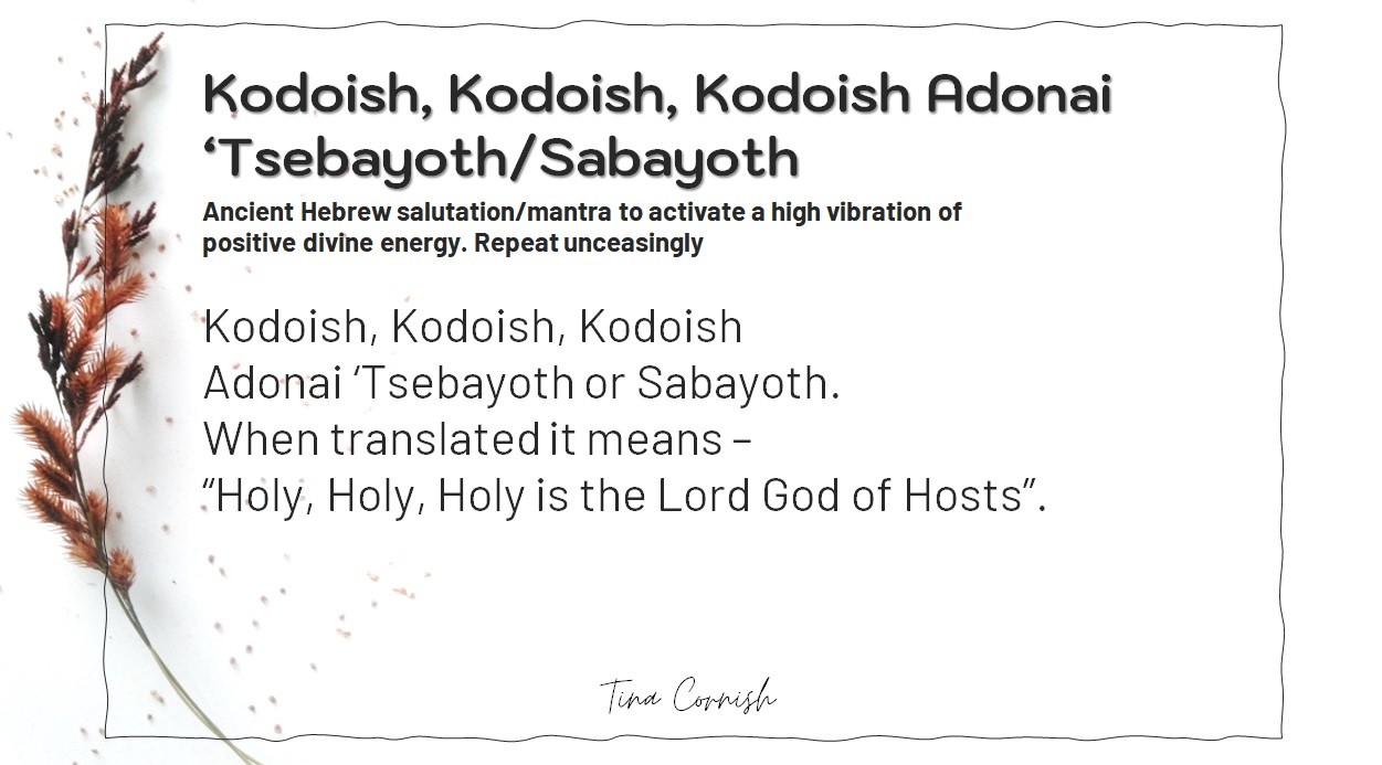 kodoish kodoish kodoish